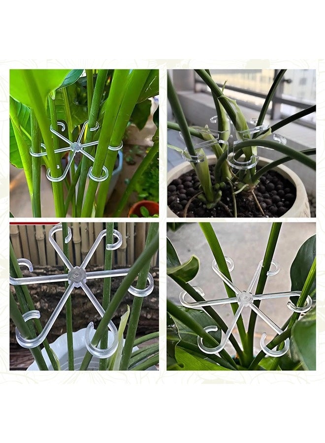 شيبشيب عدد 16 مشبك دعم سيقان النباتات، دعم سيقان نباتات التسلق المنزلية، أوتاد دعم النباتات الداخلية، مناسبة لنمو المونستيرا والبوتوس والكروم بشكل عمودي - Image 2