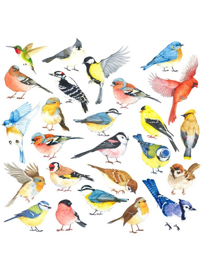 ديكو وال ملصقات حائط فنية على شكل طيور صغيرة من DECOWALL DS4-8063، قابلة للإزالة واللصق، ديكور فني لغرفة نوم الأطفال، شجرة، فرع طائر، ديكور منزلي من الفينيل، زهور، ألوان مائية، ملونة - Image 1