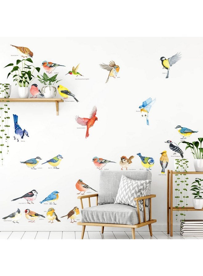 ديكو وال ملصقات حائط فنية على شكل طيور صغيرة من DECOWALL DS4-8063، قابلة للإزالة واللصق، ديكور فني لغرفة نوم الأطفال، شجرة، فرع طائر، ديكور منزلي من الفينيل، زهور، ألوان مائية، ملونة - Image 4