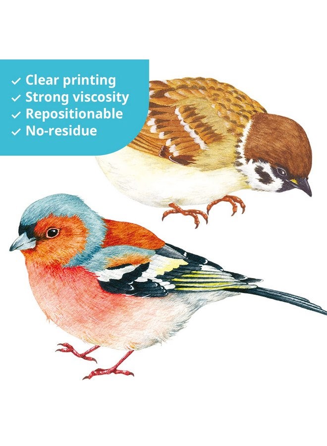 ديكو وال ملصقات حائط فنية على شكل طيور صغيرة من DECOWALL DS4-8063، قابلة للإزالة واللصق، ديكور فني لغرفة نوم الأطفال، شجرة، فرع طائر، ديكور منزلي من الفينيل، زهور، ألوان مائية، ملونة - Image 5