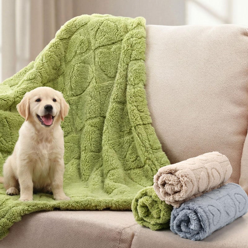Tegeme 3 Pcs Small Dog Blanket 280 GSM Washable Pet Bed Cover Soft Fluffy Puppy Blanket 3D Textured Heart Checkered Pattern Fleece Soft Cat Plush Pet Throws for Kitten Doggy(Vibrant Colors,20"Ã—30") - Image 2