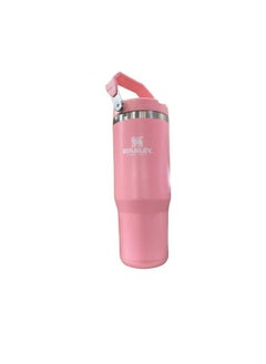 Stanley IceFlow Stainless Steel Tumbler Vacuum Insulated Water Bottle for Home Office or Car Reusable Cup Straw Leakproof Flip