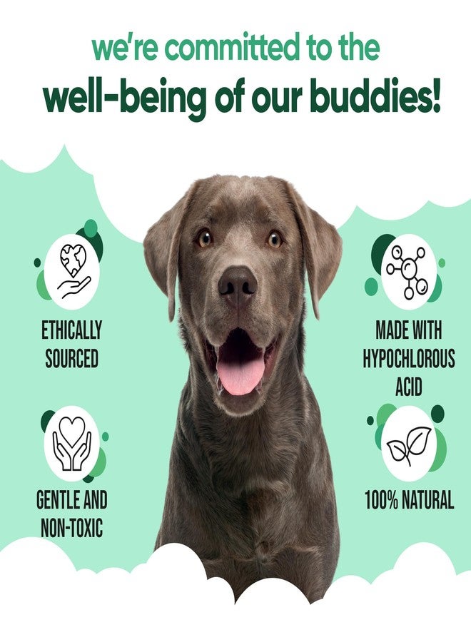 Buddycare منظف آذان الكلاب من بادي كير | محلول تنظيف آذان مهدئ للكلاب | مكونات مشتقة طبيعياً مع الصبار (200 مل) - Image 3