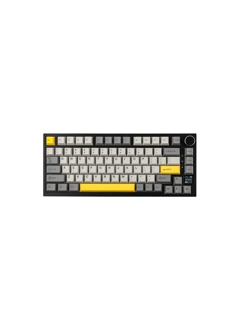 AK820 Pro 75% Gasket-mounted Mechanical Keyboard with TFT Screen, 3 Modes(Bluetooth 5.1/2.4G Wireless & Type-C Wired), Sound Dampening Foams