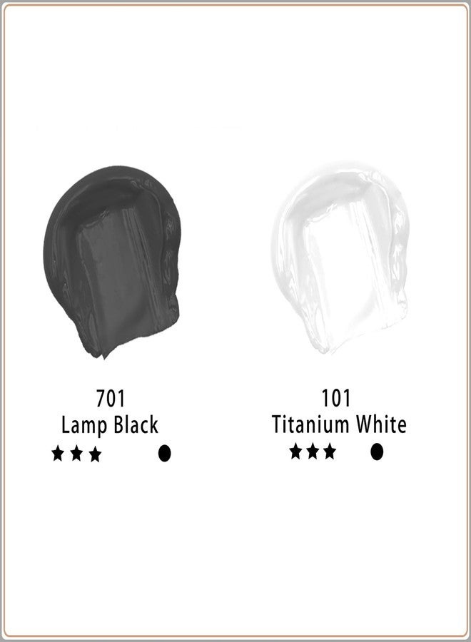 Artecho White and Black Acrylic Paint Large Bottle 500ml / 17oz, Craft Paint for Canvas, Rocks, Wood, Fabric, Ceramic, Non Toxic - Image 2