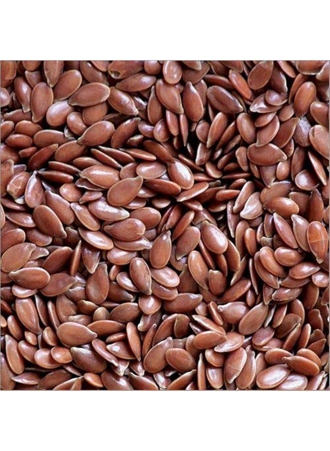 U360 Orgenic Alsi Flax Seeds - Rich in Omega-3, Protein & Fiber | Raw Seeds for Eating & Hair Growth U360_Alsi_flax-Seeds_AA_250g - Image 2