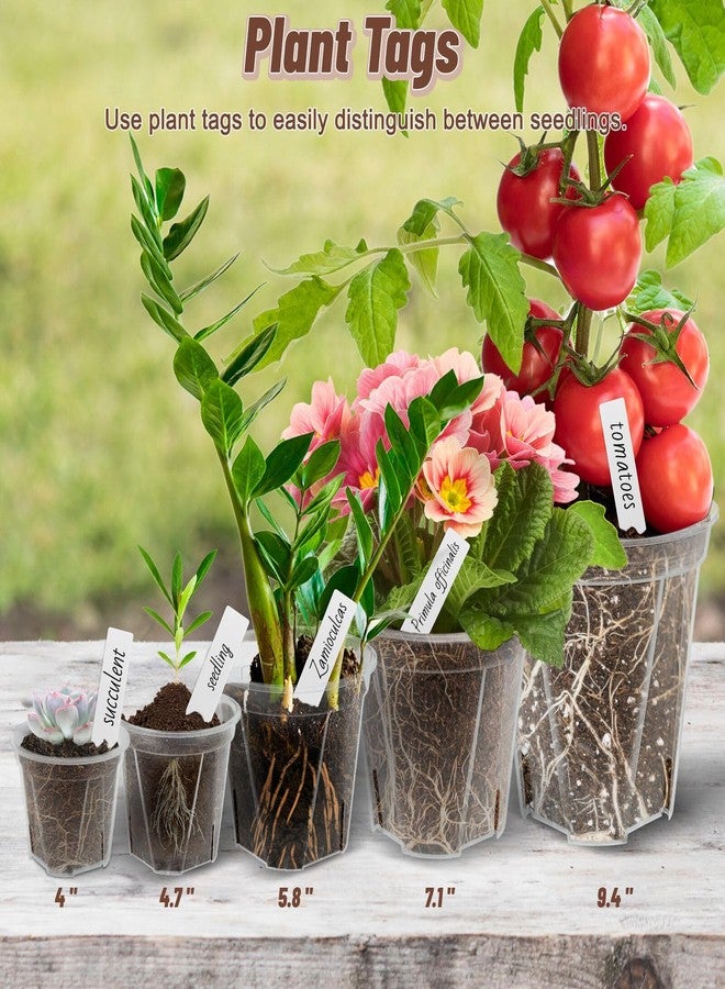 VIOBEPASS Clear Nursery Pots with Drainage 10 Pack, 10"/8.5"/7"/6"/5"/4" Plastic Orchid Nursery Pots for Plants with 10 Plant Labels for Seedling Plant, 6 Sizes Flower Pots Variety for Indoor Outdoor Repotting - Image 5
