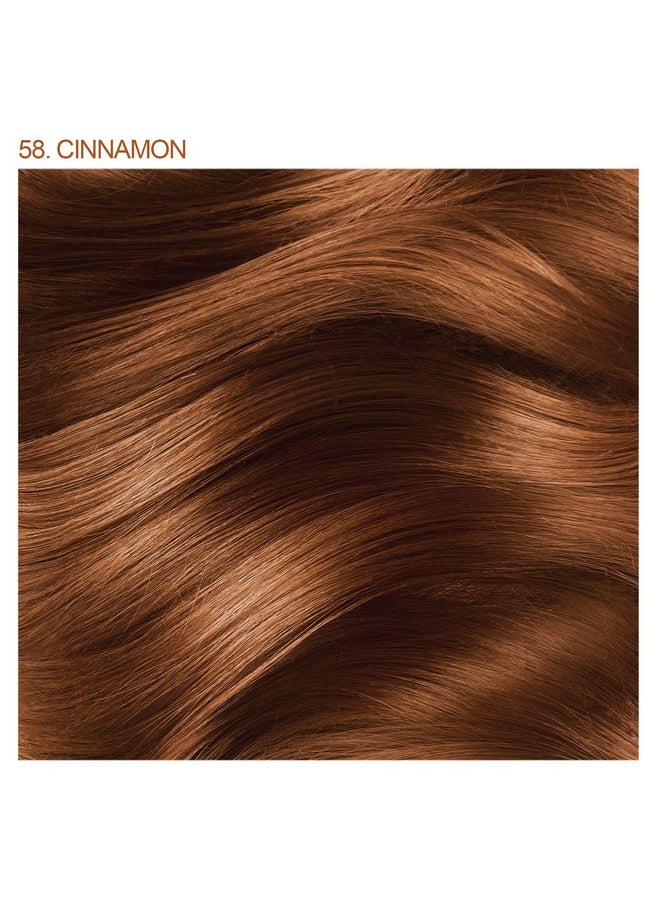 Adore - Dore Semi Permanent Hair Color Vegan And Crueltyfree Hair Dye 4 Fl Oz 058 Cinnamon (Pack Of 2) - Image 1