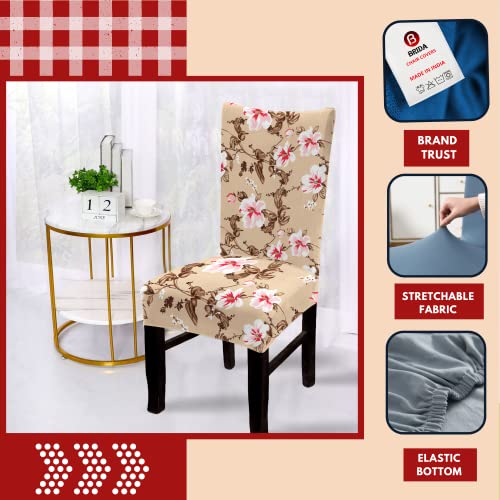 BRIDA® Polyester Spandex Stretchable Floral Geometric Printed Dining Chair Covers Elastic Chair Seat Case Protector, Slipcovers (6 Chair Cover, Beige Pink) - Image 2