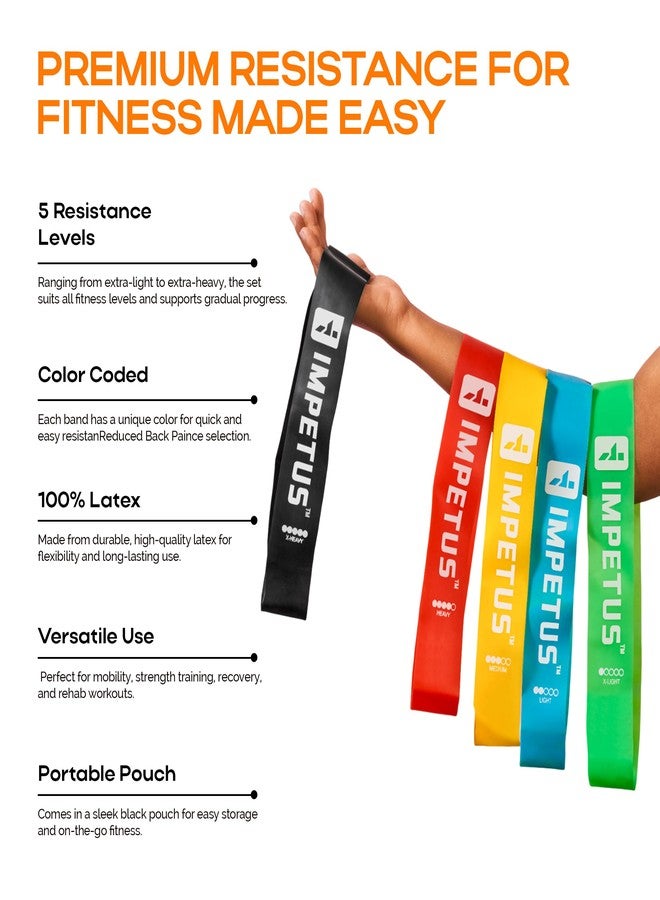 IMPETUS Resistance Flexbands - Pack of 5 Mini Loop Resistance Bands | Therabands for Hip, Glute & Full Body Workout, Stretching & Toning, Latex Fitness Bands for Home & Gym (Multicolor) - Image 2