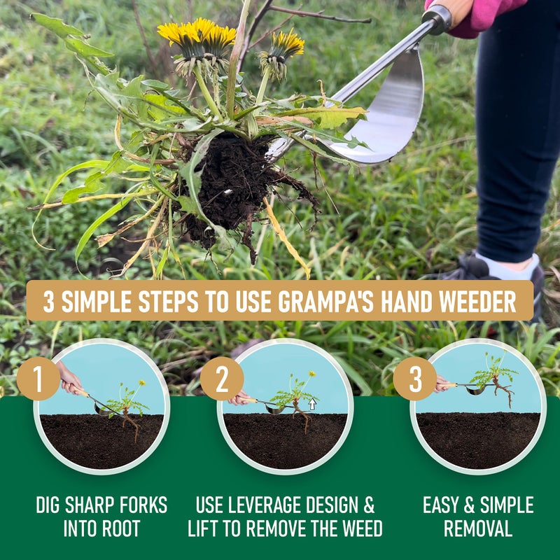 Grampa's Weeder Grampa's Hand Weeder Tool - The Perfect Lightweight Easy to Use Weed Puller Tool for Garden - Durable Unique Lever Design with V-Shaped Forks Allows for Easy Removal of Weeds & Their Roots. - Image 5