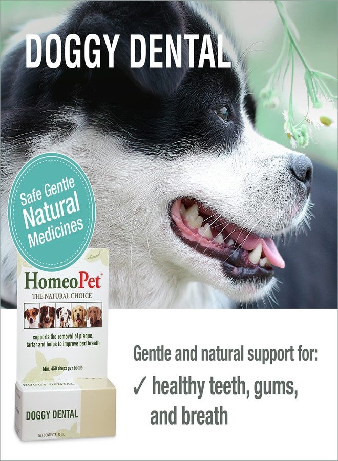 HomeoPet Doggy Dental, Safe, Gentle, and Natural Tooth and Dental Care for Dogs, 15 Milliliters - Image 2