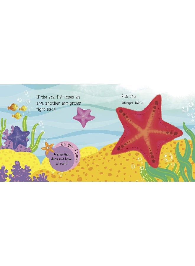 Sea Friends: Touch and Feel series - Image 3