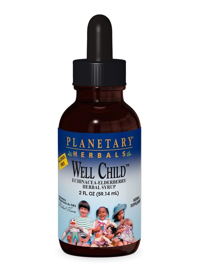Planetary Herbals Well Child, Alcohol Free, Echinacea-Elderberry Herbal Syrup - 2 Fluid oz - Image 1