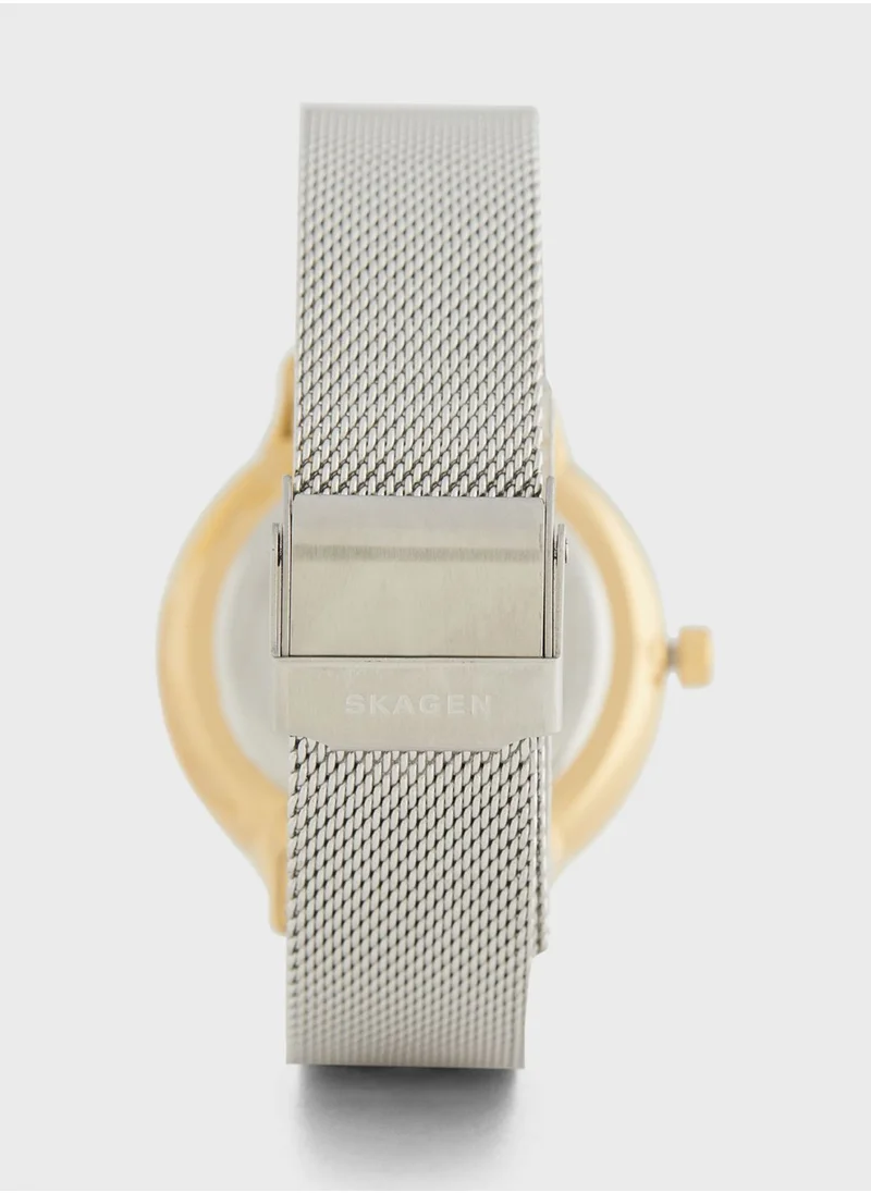 Skagen Riis Mesh Strap Analog Watch