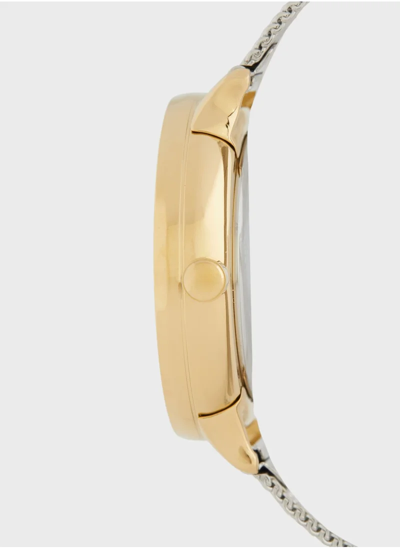 Skagen Riis Mesh Strap Analog Watch