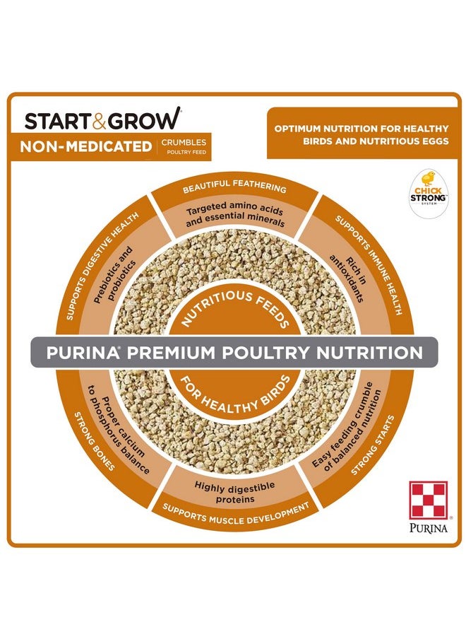 PURINA - Purina Start and Grow | Non-Medicated Chick Feed Crumbles | Nutritionally Complete - 5 Pound (5 lb) Bag - Image 1
