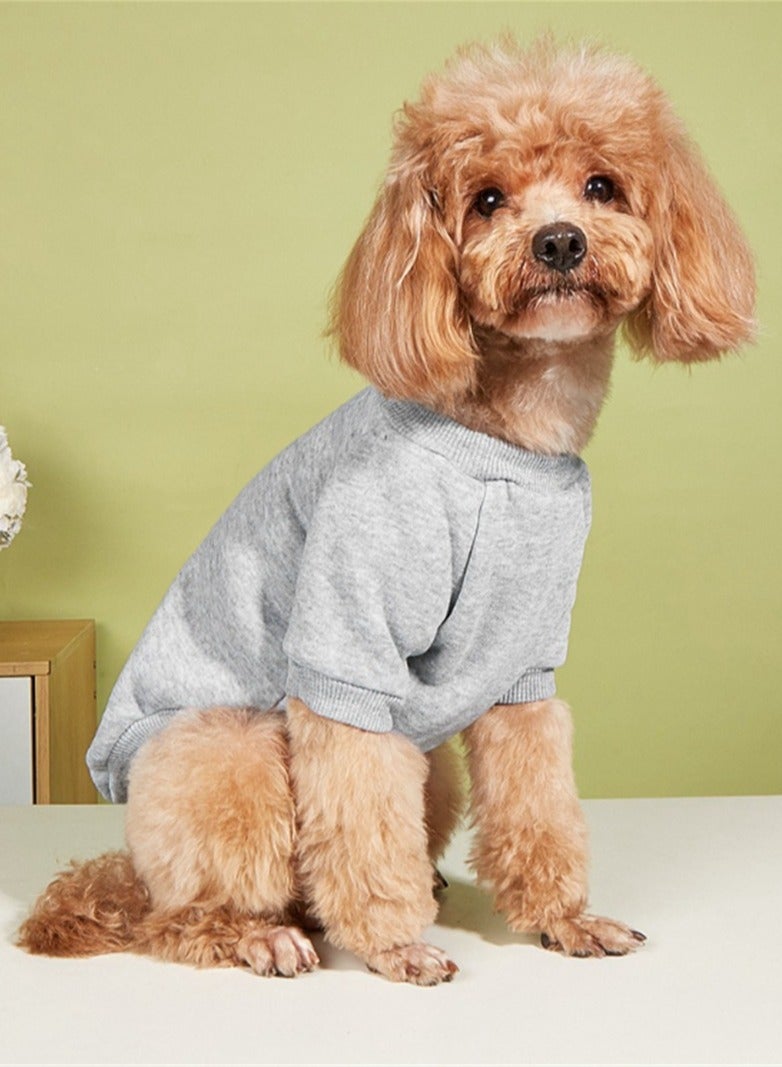 Loquat Squality New Pet Warm Clothing For Autumn And Winter Grey - Image 1