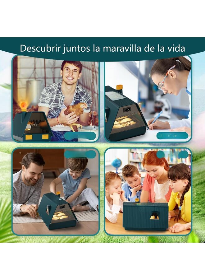 Incubator for Hatching Eggs With Automatic Turning and Humidity Control - Low Noise 10-Egg Capacity for Chickens, Ducks, Quails, Birds - Image 5