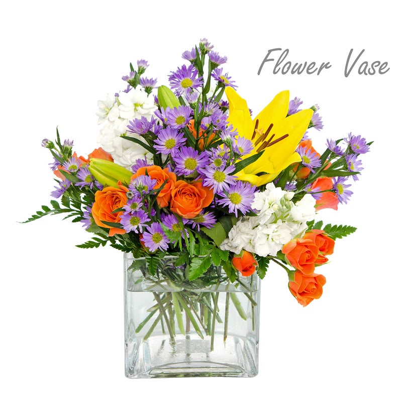 CYS EXCEL Clear Glass Cube Vase 6"x6"x6" | Square Wedding Flower Vase Centerpieces | Cubic Glass Candle Holder - Image 3