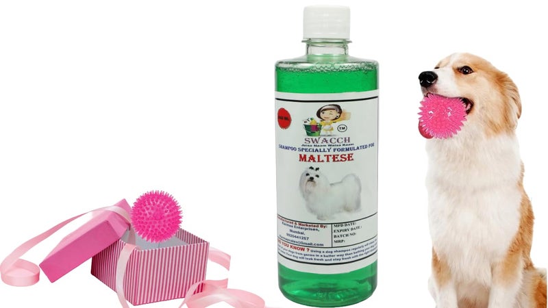 swacch Shampoo | Puppy Safe Shampoo | PH Balanced | Ditch to Itch for Maltese Dog Shampoo 500ml (Neem Alovera) + Spike Ball Chew Toy Combo Pack - Image 1