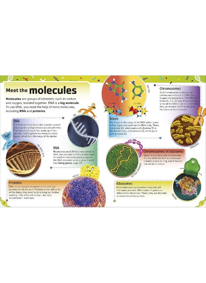 The DNA Book: Discover what makes you you  - Image 5