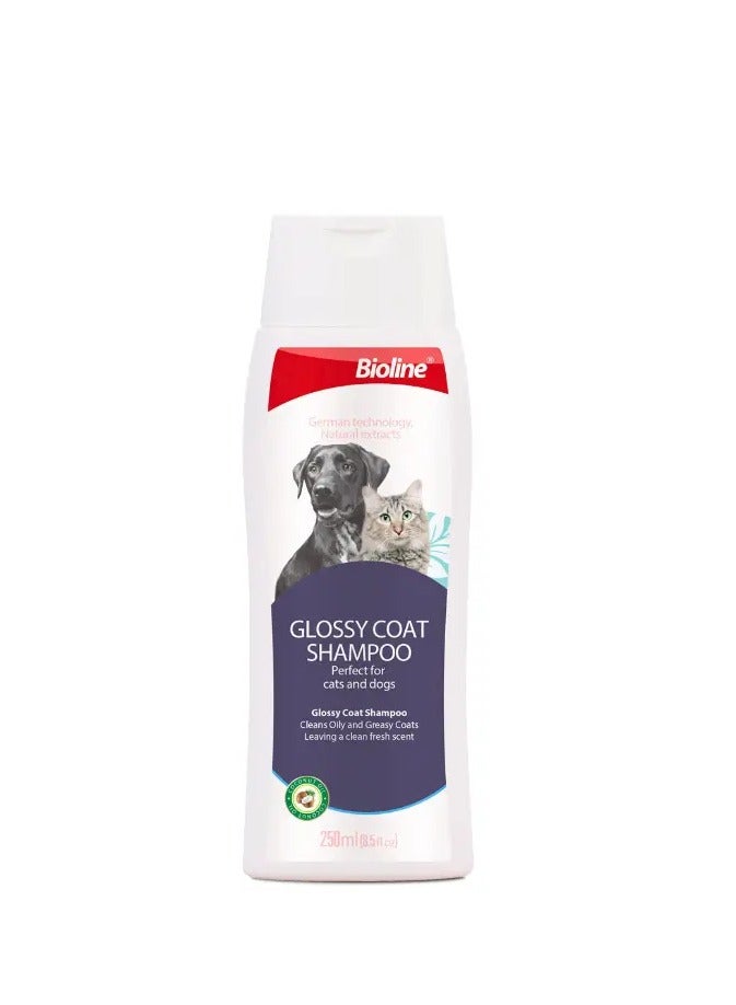 Bioline Glossy Coat Shampoo - Dogs And Cats 250ml - Image 1