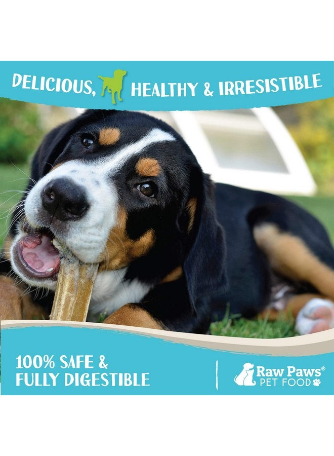 Raw Paws Compressed Rawhide Dog Chew Variety Pack, 10 Pack - 10" Compressed Rawhide Sticks & 10" Bones - Large Dog Bones for Aggressive Chewers - Pressed Rawhide Dog Bones Value Pack - Large Dog Chews - Image 4