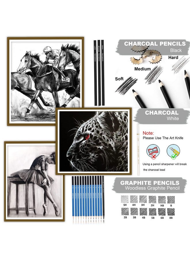 KALOUR 33 Pieces Pro Drawing Kit Sketching Pencils Set,Portable Zippered Travel Case-Charcoal Pencils, Sketch Pencils, Charcoal Stick,Sharpener,Eraser.Art Supplies for Artists Beginner Adults Teens - Image 3