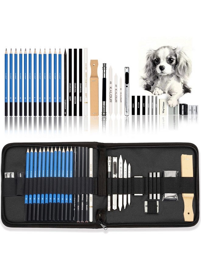 KALOUR 33 Pieces Pro Drawing Kit Sketching Pencils Set,Portable Zippered Travel Case-Charcoal Pencils, Sketch Pencils, Charcoal Stick,Sharpener,Eraser.Art Supplies for Artists Beginner Adults Teens - Image 1