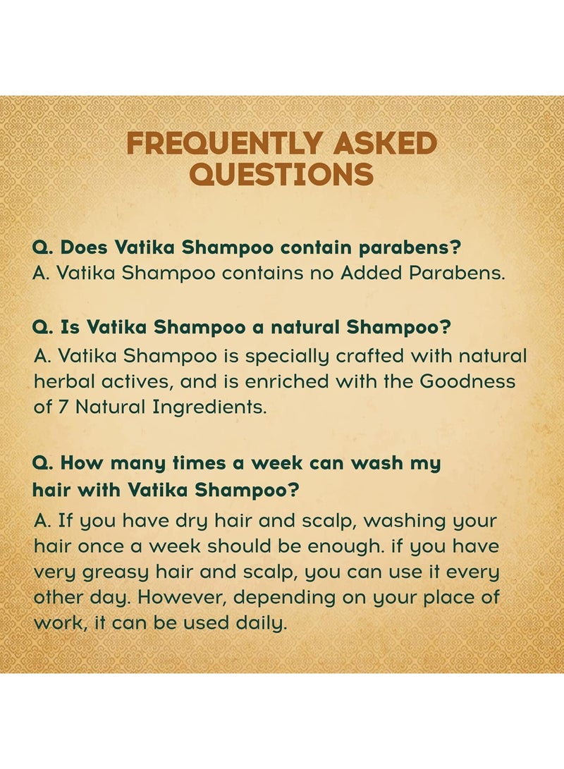 فاتيكا شامبو الأيورفيدا - 1 لتر | علاج الضرر | بقوة 10 مكونات لحل 10 شعر problems| لا بارابين | لجميع أنواع الشعر - Image 5