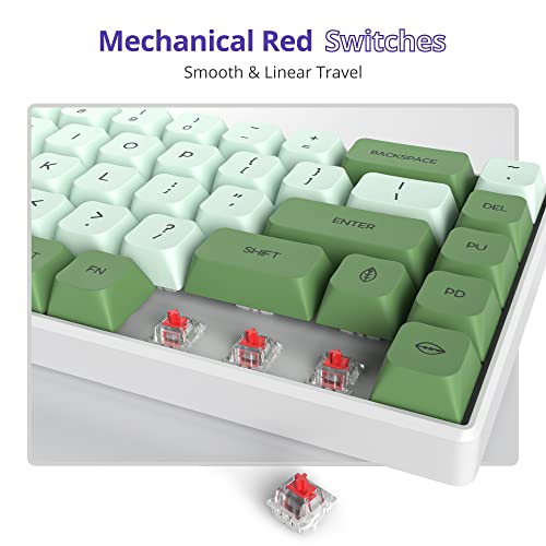 Owpkeenthy Wired 65% Percent Mechanical Gaming Keyboard Creamy Keycaps with Red Switch Ultra Compact RGB 60% Cute Green Gaming Keyboard N-Key Rollover for PC Gamer (Matcha/68 Red Switch) - Image 5