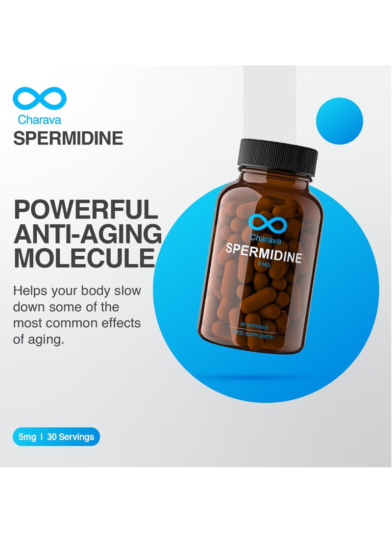 Charava Charava Spermidine 5mg | Cellular Autophagy & Longevity Support | 30 Capsules | Gluten Free | UK Based | 3rd Party Tested  - Image 5
