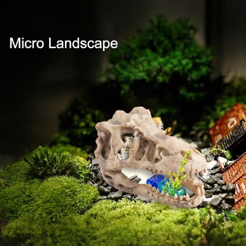 VibeNest Dinosaur Skull Aquarium Decoration - Natural Fish Tank Hideaway Cave, 6.3"x4"x4” Resin Ornament for Freshwater Tanks (6.3") - Image 3