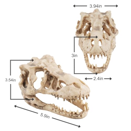 VibeNest Dinosaur Skull Aquarium Decoration - Natural Fish Tank Hideaway Cave, 6.3"x4"x4” Resin Ornament for Freshwater Tanks (6.3") - Image 5