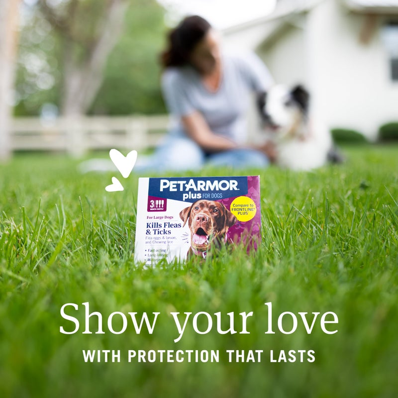 PetArmor Plus Flea and Tick Prevention for Dogs, Dog Flea and Tick Treatment, 6 Doses, Waterproof Topical, Fast Acting, Large Dogs Dogs (45-88 lbs) - Image 2