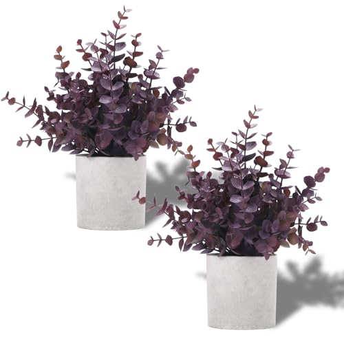 Coferset 2 Pack Small Fake Plants Eucalyptus Potted Artificial Plants Fall Decorations for Home Shelf Office Bathroom Desk Farmhouse Room Coffee Table Decor Halloween Decor Plum - Image 1