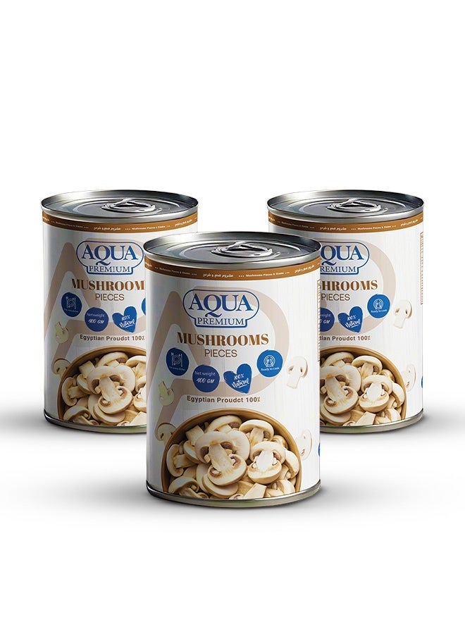 AQUA PREMIUM Mushrooms easy open 400grams Pack of 3 - Image 1