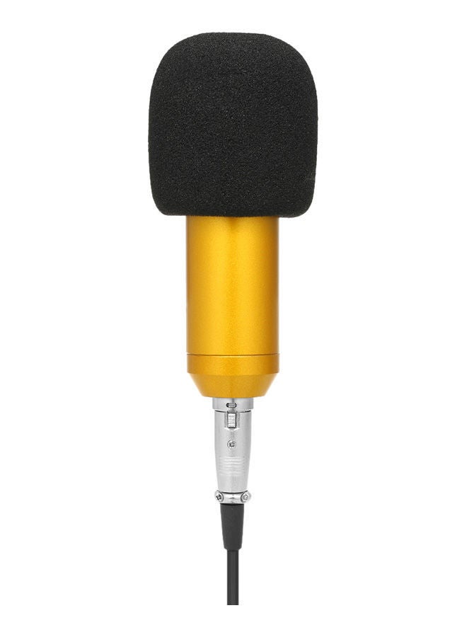 NIBEMINENT BM800 Wired Condenser Microphone With Sponge Protector V583 Gold/Black/Silver - Image 1