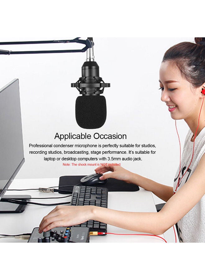 NIBEMINENT BM800 Wired Condenser Microphone With Sponge Protector V583 Gold/Black/Silver - Image 2