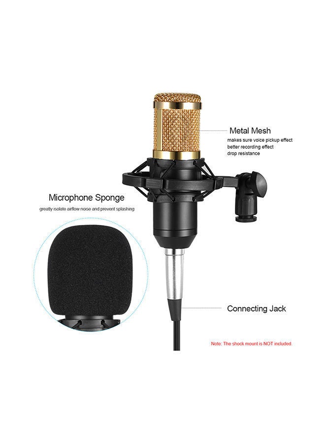 NIBEMINENT BM800 Wired Condenser Microphone With Sponge Protector V583 Gold/Black/Silver - Image 4