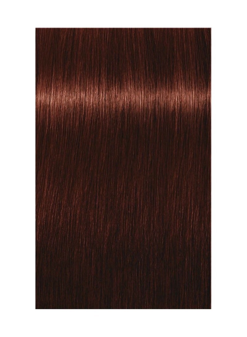 INDOLA Xpresscolor 6.65| Dark Blonde Red Mahogany 60ml - Image 2
