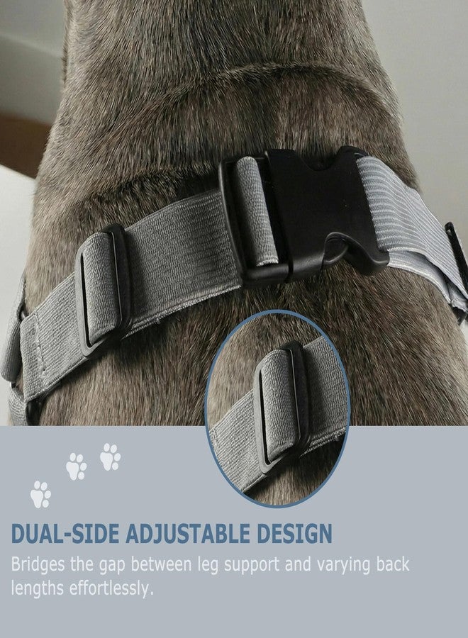 Hi Sprout Dog Elbow Recovery Sleeve with Protector Pads for Senior Dogs & Post-Surgery Front Legs, Anti-Licking Brace & Wound Care Support, Updated with Adjustable Shoulder Straps(Grey Set, XL) - Image 5