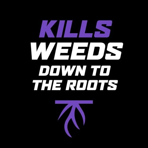 Ortho WeedClear Lawn Weed Killer Concentrate2, Kills Dandelion and Clover, 32 fl. Oz - Image 3