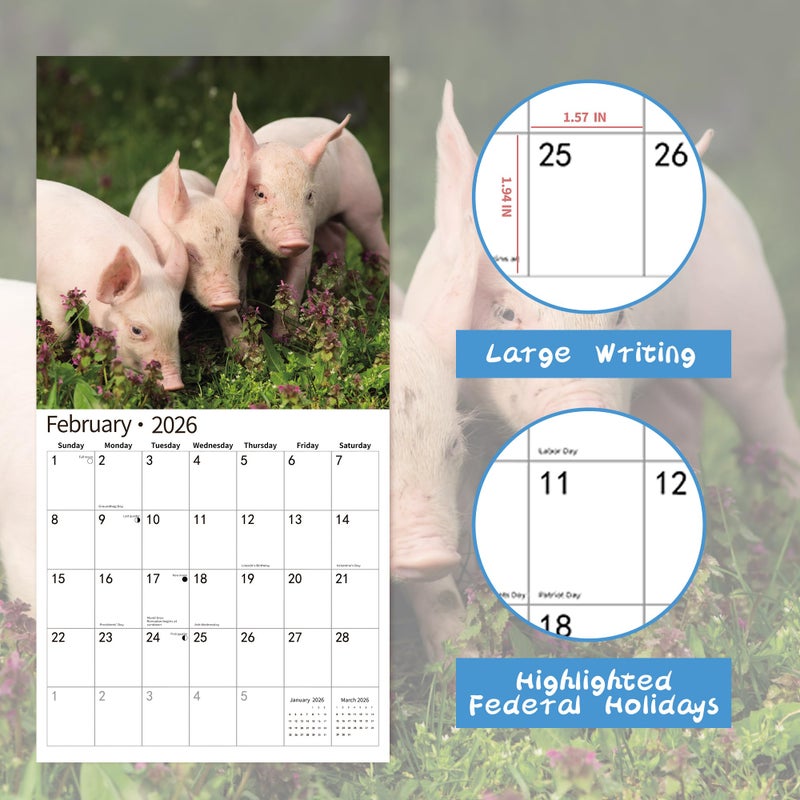 windrio 2026 Wall Calendar,Calendar 2026, November 2025 - December 2026, Wall Calendar Pigs & Piglets, 12" x 24" Opened,Full Page Months Thick & Sturdy Paper for Gift Perfect Calendar Organizing & Planning - Image 3