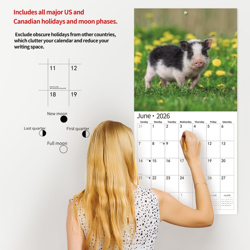 windrio 2026 Wall Calendar,Calendar 2026, November 2025 - December 2026, Wall Calendar Pigs & Piglets, 12" x 24" Opened,Full Page Months Thick & Sturdy Paper for Gift Perfect Calendar Organizing & Planning - Image 5