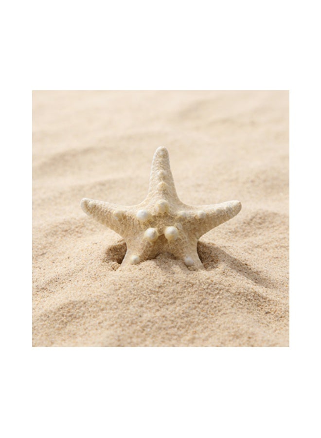 ماك جاباجز زوج من نجوم البحر الطبيعية تنقل شاطئ البحر مباشرة إلى المنزل - Image 3