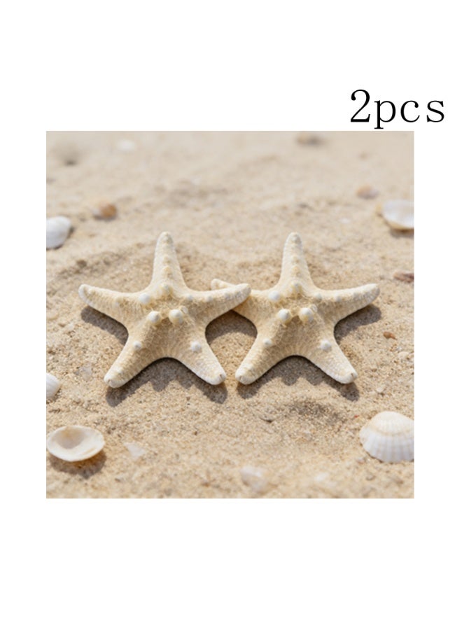 ماك جاباجز زوج من نجوم البحر الطبيعية تنقل شاطئ البحر مباشرة إلى المنزل - Image 1