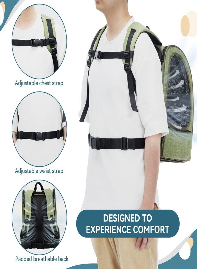 Petsfit Expandable Pet Backpack Carrier for Cats & Small Dogs up to 18 lbs - Foldable Travel Backpack with Mesh Ventilation & Lockable Zippers for Hiking, Camping - Green - Image 4