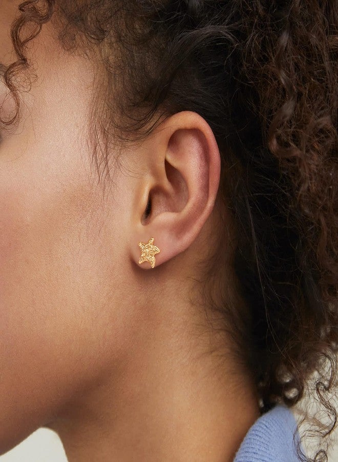 BENEIGE Starfish Stud Earrings for Women Dainty Hypoallergenic Minimalist Sea Star-Fish Studs Ear Jewelry Gift for Her - Image 3